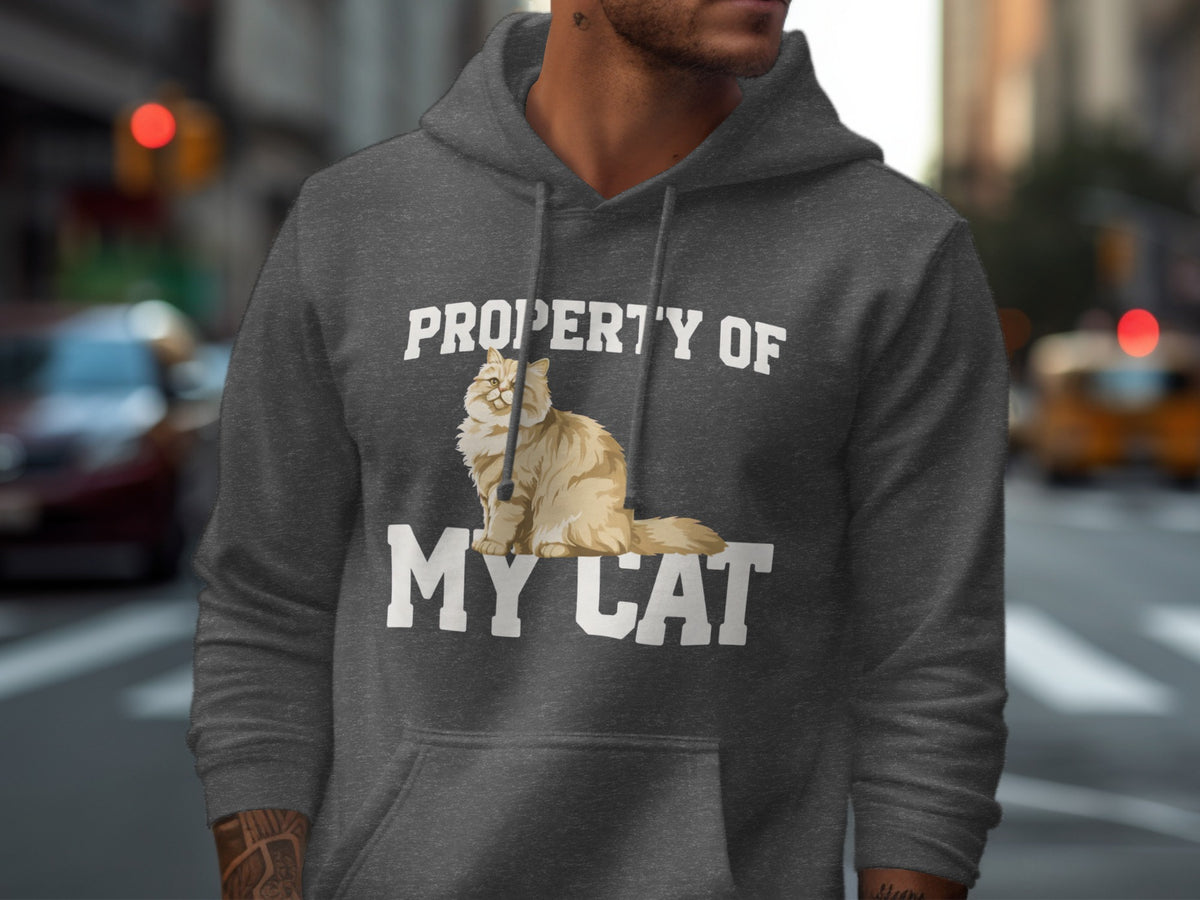 Dark grey hoodie with "PROPERTY OF MY CAT" text and a fluffy cat illustration.
