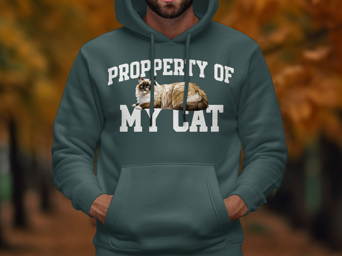 Hoodie with "Property of my Cat" text and a fluffy cat illustration.