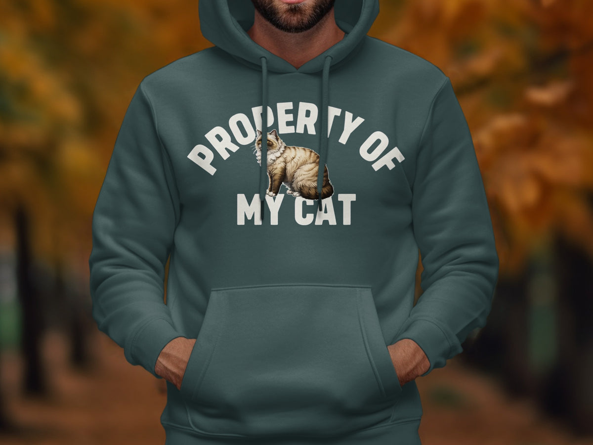 Hoodie with "Property of My Cat" text and a cat illustration.