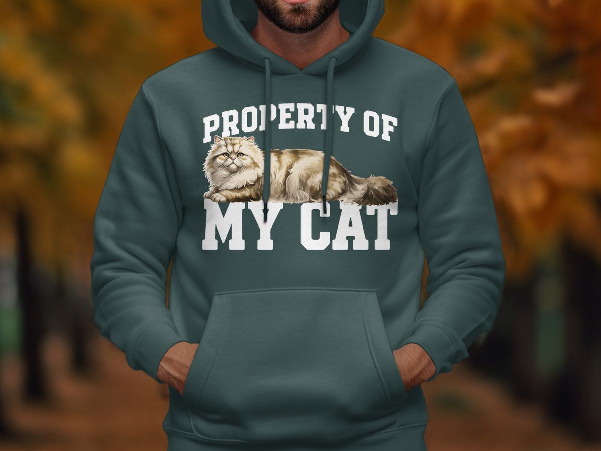 Green hoodie with white text "PROPERTY OF MY CAT" and a Persian cat graphic.