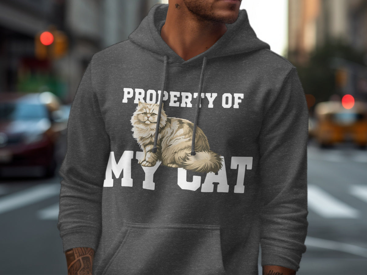 Dark grey hoodie on a person with "PROPERTY OF MY CAT" text and a cat graphic.