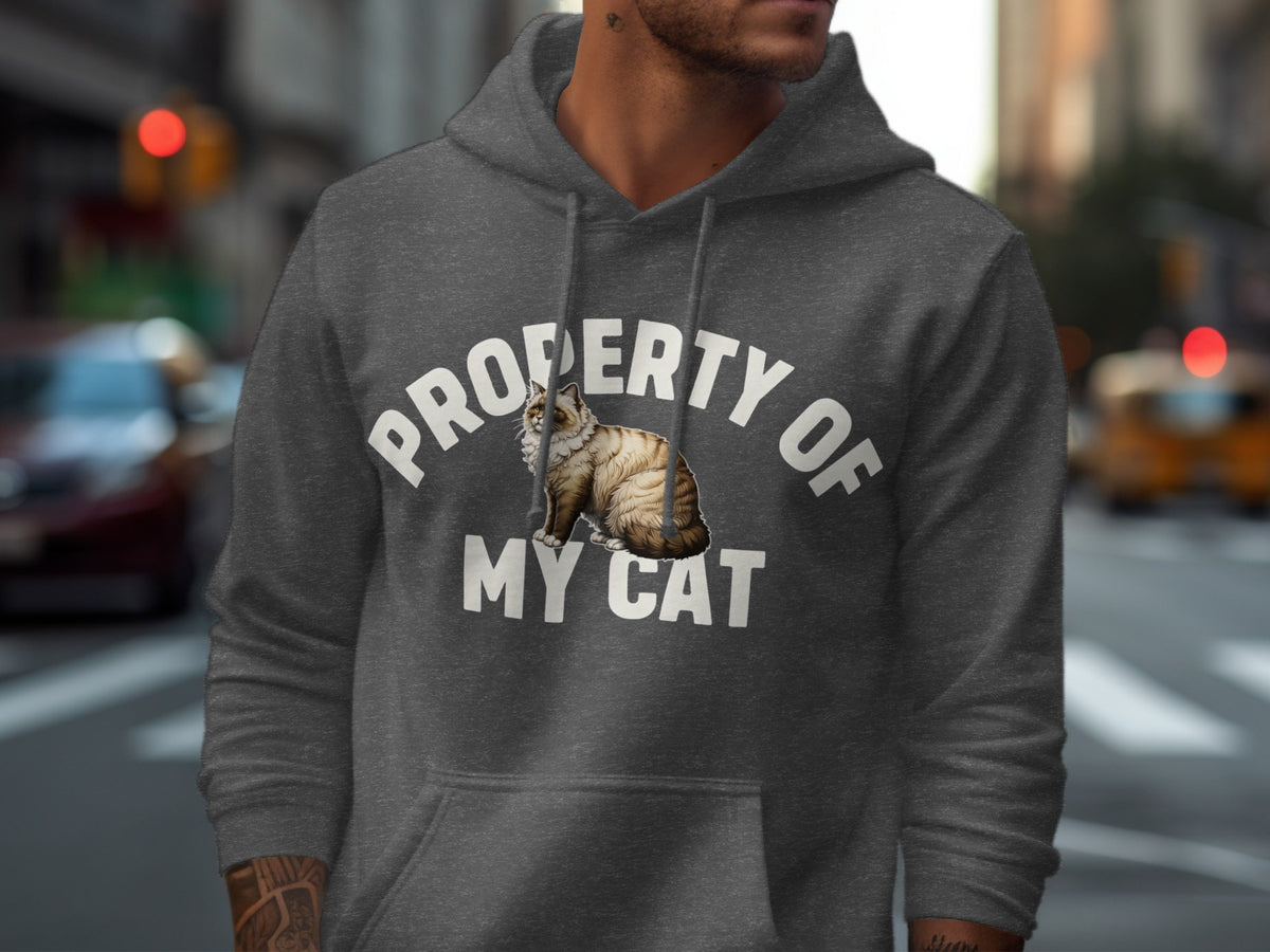 Dark grey hoodie with "PROPERTY OF MY CAT" and a cat graphic.
