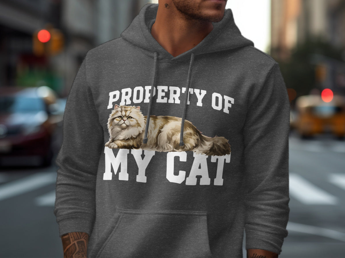 Dark gray hoodie with "PROPERTY OF MY CAT" and a fluffy cat graphic.