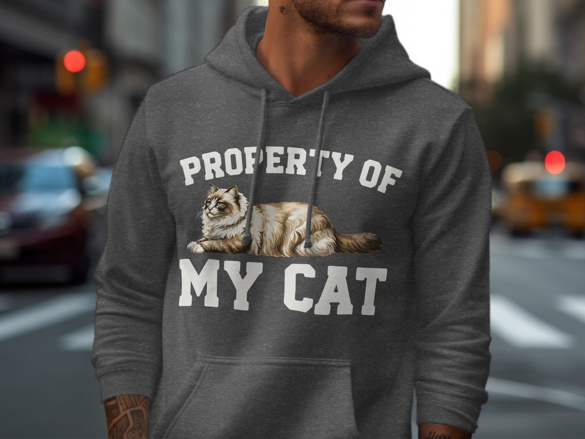 Gray hoodie with "PROPERTY OF MY CAT" text and a cat graphic.