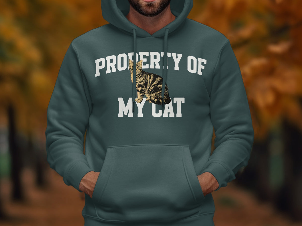 Dark teal hoodie with "PROPERTY OF MY CAT" text and cat graphic.