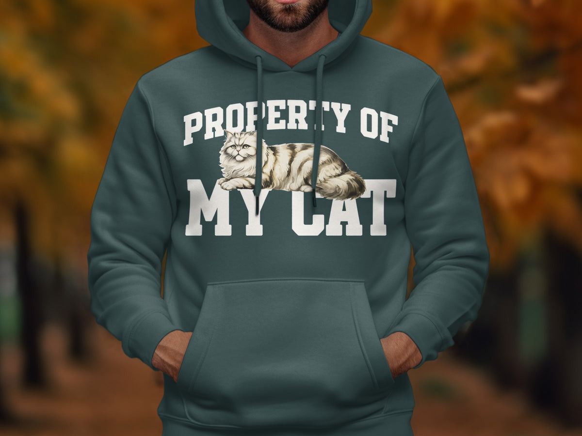 Dark teal hoodie with "PROPERTY OF MY CAT" text and a cat illustration.