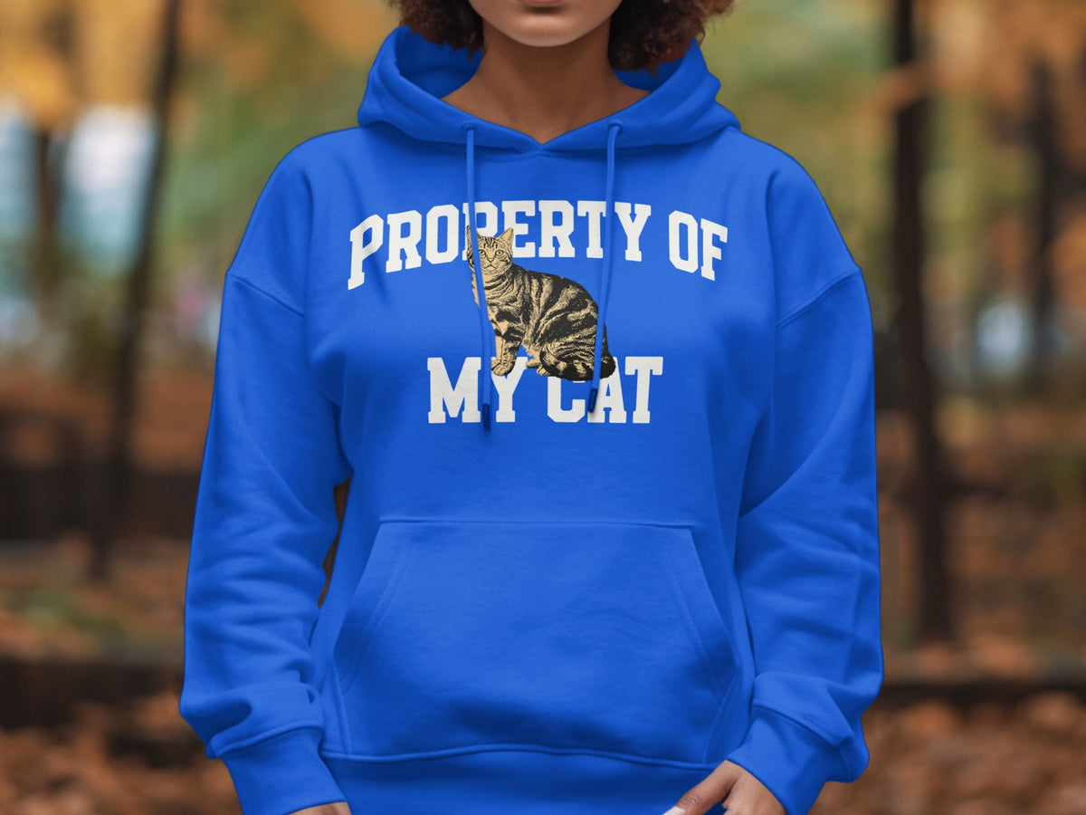 Blue hoodie with "Property of My Cat" text and a cat illustration.