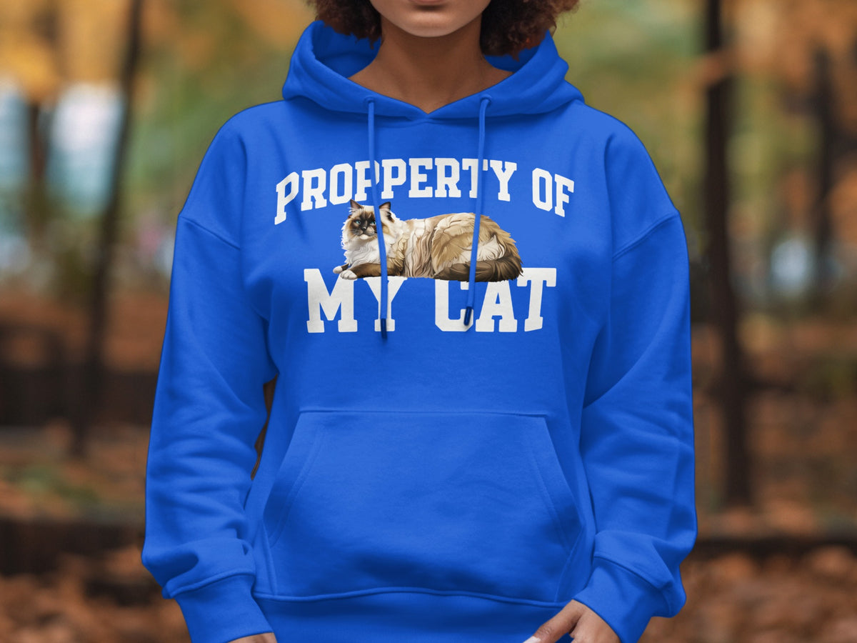 Blue hoodie with "Property of My Cat" text and a cat illustration.